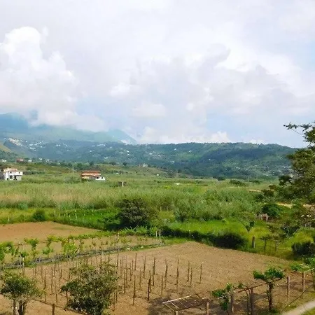 Casa Comer Grisolia Apartment