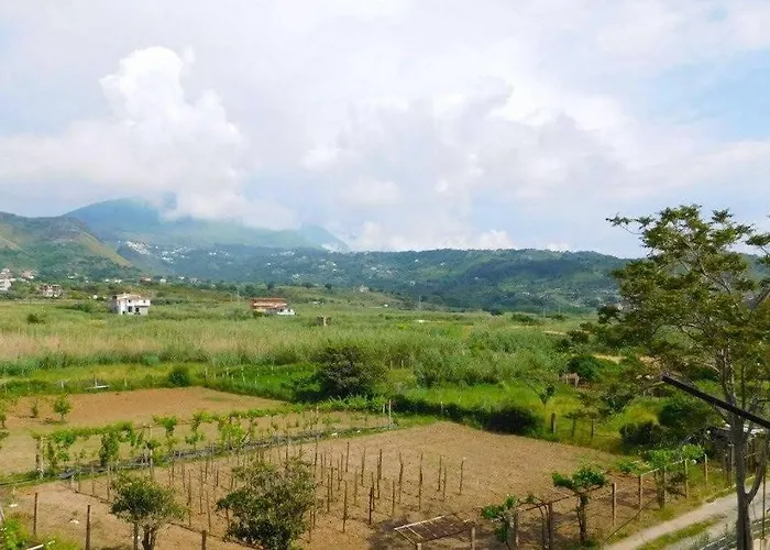 Casa Comer Grisolia 公寓